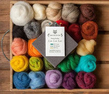 Load image into Gallery viewer, Needle Felting Starter Kit