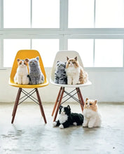 Load image into Gallery viewer, Crochet Your Own Cat