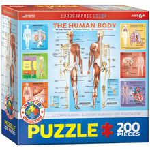 Load image into Gallery viewer, The Human Body