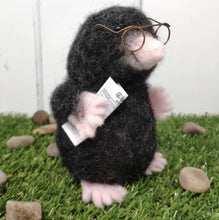 Load image into Gallery viewer, Mr Mole Needle Felting Craft Kit