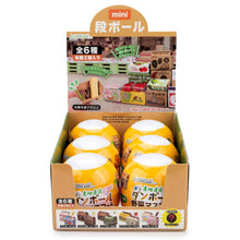 Load image into Gallery viewer, Farm Fresh Vegetable Box Collectible Capsule (6pcs/case)