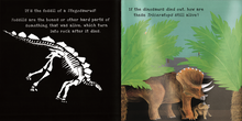 Load image into Gallery viewer, Shine-A-Light: Dinosaurs