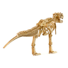 Load image into Gallery viewer, wa-gu-mi T-Rex (Tyrannosaurus) Wooden 3D Puzzle Kit
