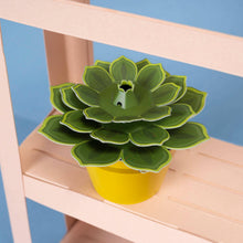Load image into Gallery viewer, Make Your Own Mini Paper Succulent Plant: Unit