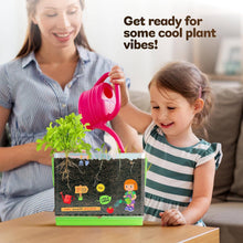Load image into Gallery viewer, Root Viewer Kit for Kids