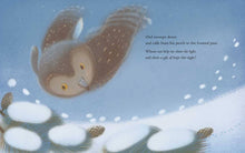 Load image into Gallery viewer, Winter by Kelsey E. Gross: Hardcover; 32 pages / English