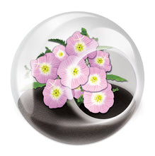 Load image into Gallery viewer, Tiny Terrariums Flowering Counter Display with 6 Varieties