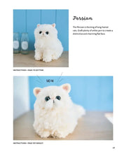 Load image into Gallery viewer, Crochet Your Own Cat