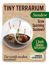 Load image into Gallery viewer, Tiny Terrarium Carnivorous Glass Terrarium Counter Display