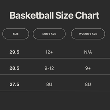 Load image into Gallery viewer, Elite Pro Official Game Basketball NFHS Stamped: Intermediate 28.5"