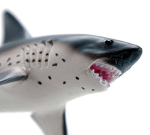 Load image into Gallery viewer, Salmon Shark - 100690