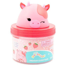 Load image into Gallery viewer, Squishmallows Premium Cloud Slime Fidget Putty Jar