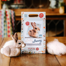 Load image into Gallery viewer, Baby Bunny Needle Felting Craft Kit