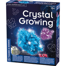 Load image into Gallery viewer, Crystal Growing