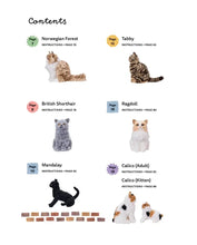 Load image into Gallery viewer, Crochet Your Own Cat