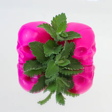 Load image into Gallery viewer, Pink Skull Lip Balm 100% Natural: Hot Pink / Clear Box / Passion Fruit