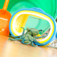 Load image into Gallery viewer, Octopus - 200929