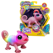 Load image into Gallery viewer, Moose Toys Little Live Pets Lil' Chameleon