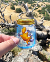 Load image into Gallery viewer, CLEAR STICKER: Platypus In A Jar