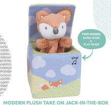 Load image into Gallery viewer, Lil Luvs Collection - Fox in a Box
