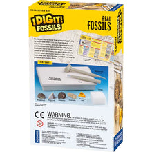 Load image into Gallery viewer, I Dig It! Fossils - Real Fossils Excavation Kit