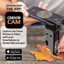 Load image into Gallery viewer, 100x-250x LED High Power Pocket Microscope w/ Phone Adapter