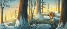 Load image into Gallery viewer, Cold by Tim McCanna: Hardcover; 40 pages / English