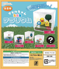Load image into Gallery viewer, Little Duckie Terrarium Collectible Capsule (6pcs/case)