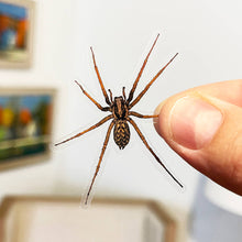 Load image into Gallery viewer, PRANK CLEAR STICKER: Spider (April Fools Practical Joke)