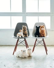 Load image into Gallery viewer, Crochet Your Own Cat
