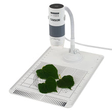 Load image into Gallery viewer, Digital Microscope, USB Compatible with Flexible Stand