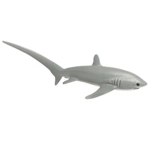 Load image into Gallery viewer, Thresher Shark - 200229