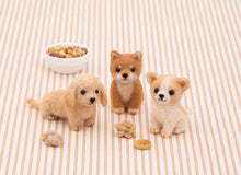 Load image into Gallery viewer, Hamanaka Needle Felting Kit: Shiba, Chihuahua, Dachshund