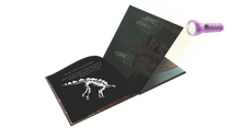 Load image into Gallery viewer, Shine-A-Light: Dinosaurs