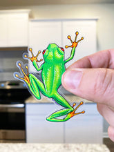 Load image into Gallery viewer, CLEAR STICKER "Tree Frog (Back)" Cute Red Eyed Tree Frog