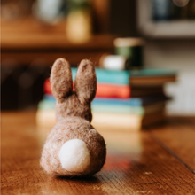 Load image into Gallery viewer, Baby Bunny Needle Felting Craft Kit