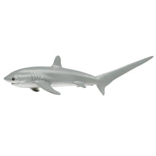 Load image into Gallery viewer, Thresher Shark - 200229