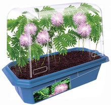 Load image into Gallery viewer, Astounding Moving Plant Terrarium