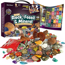 Load image into Gallery viewer, Mega Rock, Fossil & Mineral Collection
