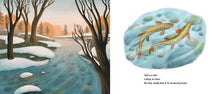 Load image into Gallery viewer, Cold by Tim McCanna: Hardcover; 40 pages / English