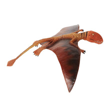 Load image into Gallery viewer, Dimorphodon - 304729