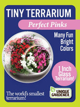Load image into Gallery viewer, Tiny Terrariums Flowering Counter Display with 6 Varieties