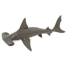 Load image into Gallery viewer, Hammerhead Shark Baby - 267929