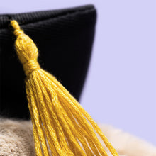 Load image into Gallery viewer, Bashful Bunny Graduation