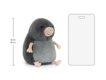 Load image into Gallery viewer, Muswell Mole