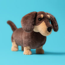 Load image into Gallery viewer, Otto Sausage Dog