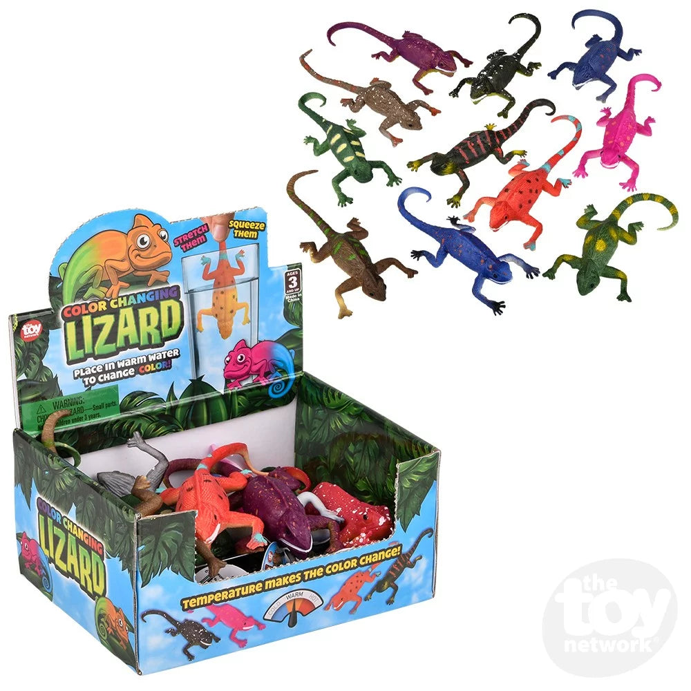 Color Changing Lizard 6" – AkCrazyCollector