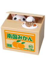 Load image into Gallery viewer, Cat in Box Bank