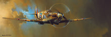 Load image into Gallery viewer, Spitfire