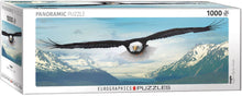 Load image into Gallery viewer, Eagle